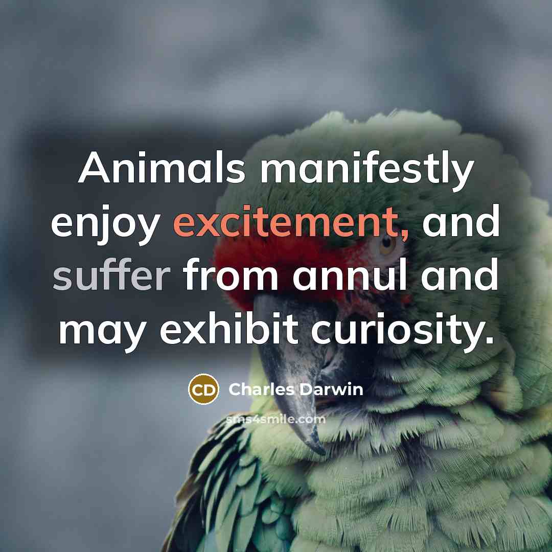 “Animals manifestly enjoy excitement, and suffer from annul and may exhibit curiosity.” quote by Charles Darwin