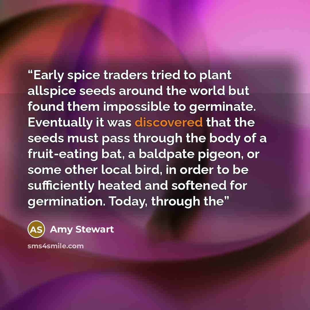 “Early spice traders tried to plant allspice seeds around the world but found them impossible to germinate. Eventually it was discovered that the seeds must pass through the body of a fruit-eating bat, a baldpate pigeon, or some other local bird, in order to be sufficiently heated and softened for…” quote by Amy Stewart