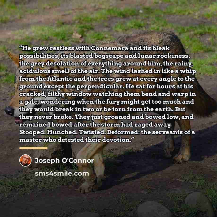 “He grew restless with Connemara and its bleak possibilities, its blasted bogscape and lunar rockiness, the grey desolation of everything around him, the rainy, acidulous smell of the air. The wind lashed in like a whip from the Atlantic and the trees grew at every angle to the ground except the…” quote by Joseph O'Connor