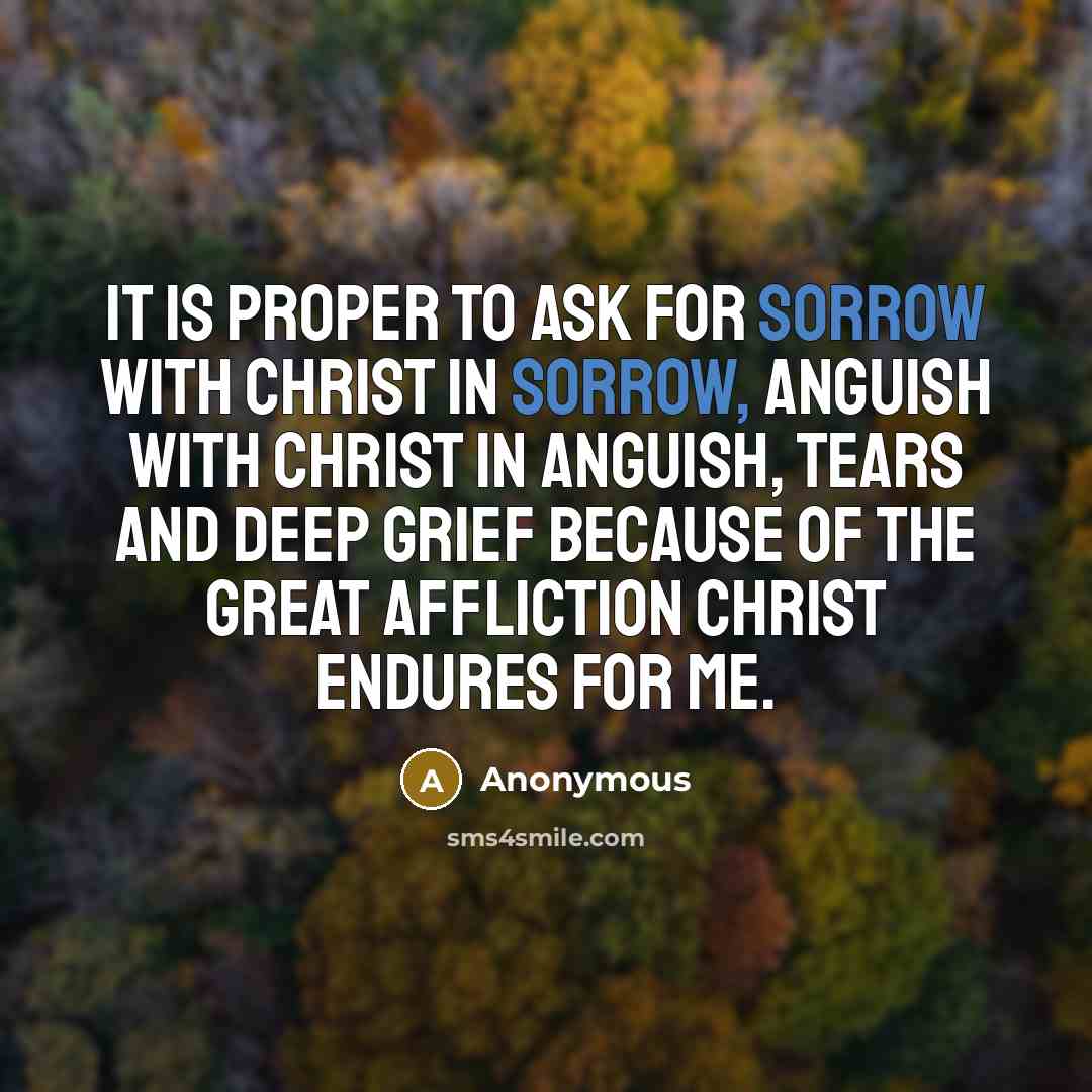 “It is proper to ask for sorrow with Christ in sorrow, anguish with Christ in anguish, tears and deep grief because of the great affliction Christ endures for me.” quote by Anonymous