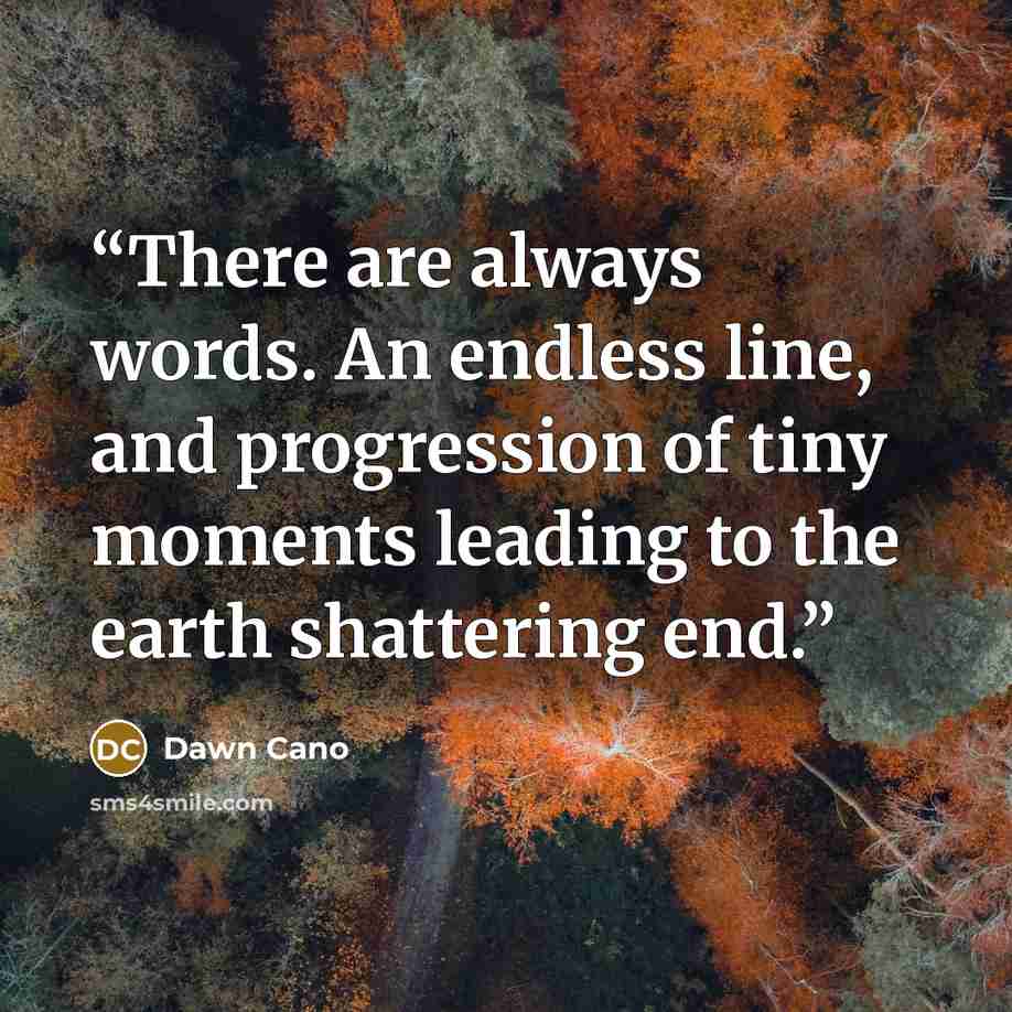 “There are always words. An endless line, and progression of tiny moments leading to the earth shattering end.” quote by Dawn Cano