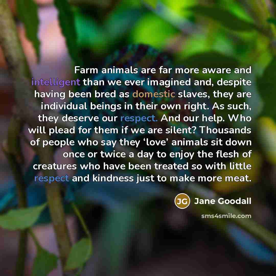 “Farm animals are far more aware and intelligent than we ever imagined and, despite having been bred as domestic slaves, they are individual beings in their own right. As such, they deserve our respect. And our help. Who will plead for them if we are silent? Thousands of people who say they ‘love’…” quote by Jane Goodall