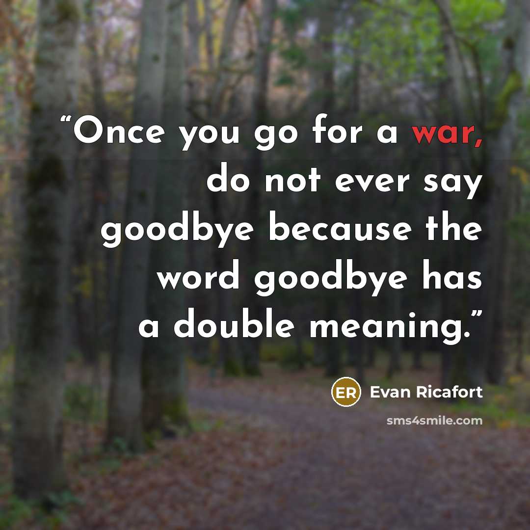 “Once you go for a war, do not ever say goodbye because the word goodbye has a double meaning.” quote by Evan Ricafort