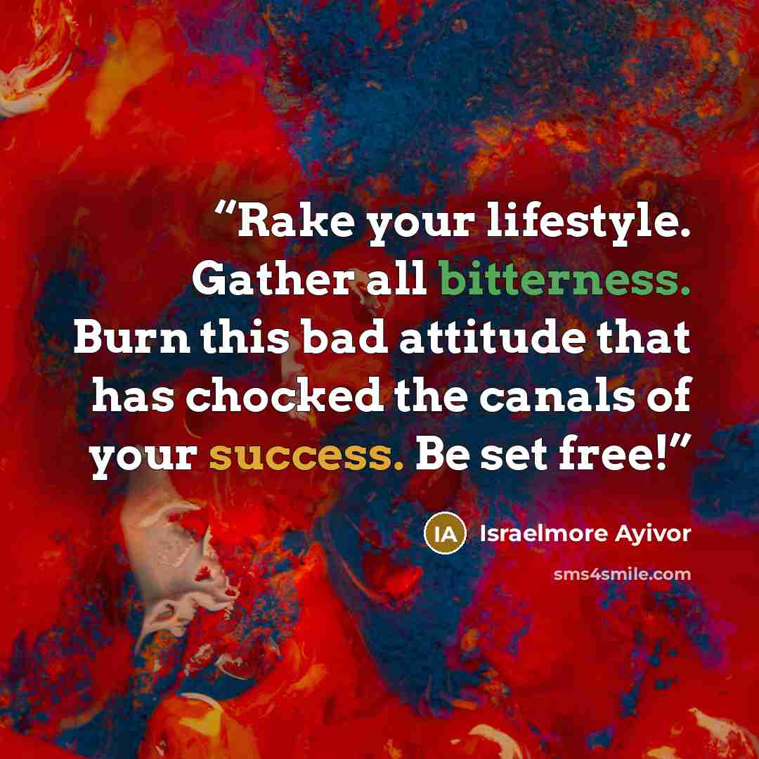 “Rake your lifestyle. Gather all bitterness. Burn this bad attitude that has chocked the canals of your success. Be set free!” quote by Israelmore Ayivor