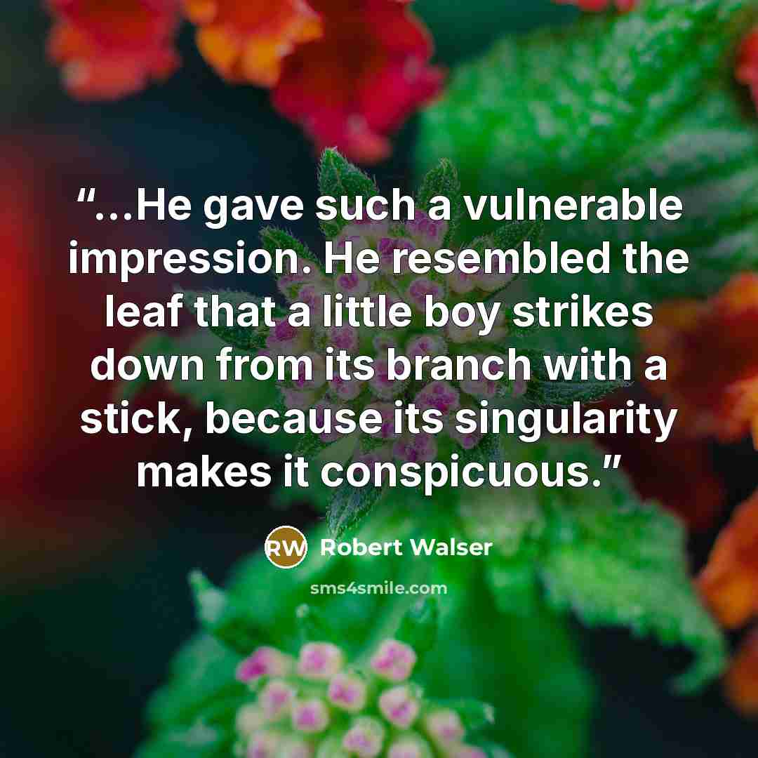 “...He gave such a vulnerable impression. He resembled the leaf that a little boy strikes down from its branch with a stick, because its singularity makes it conspicuous.” quote by Robert Walser