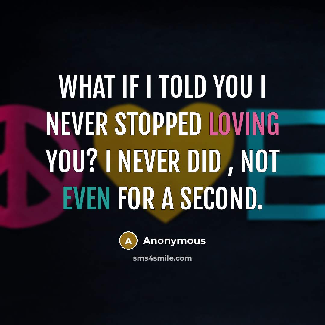“What if I told you I never stopped loving you? I never did , not even for a second.” quote by Anonymous