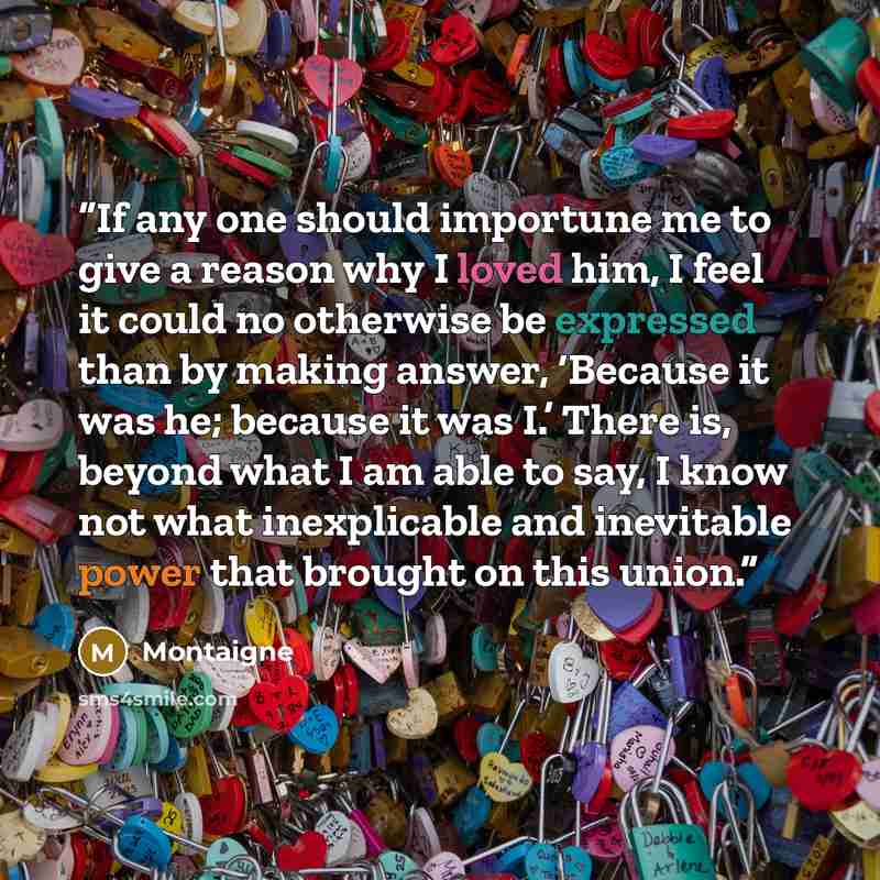 “If any one should importune me to give a reason why I loved him, I feel it could no otherwise be expressed than by making answer, ‘Because it was he; because it was I.’ There is, beyond what I am able to say, I know not what inexplicable and inevitable power that brought on this union.” quote by Montaigne