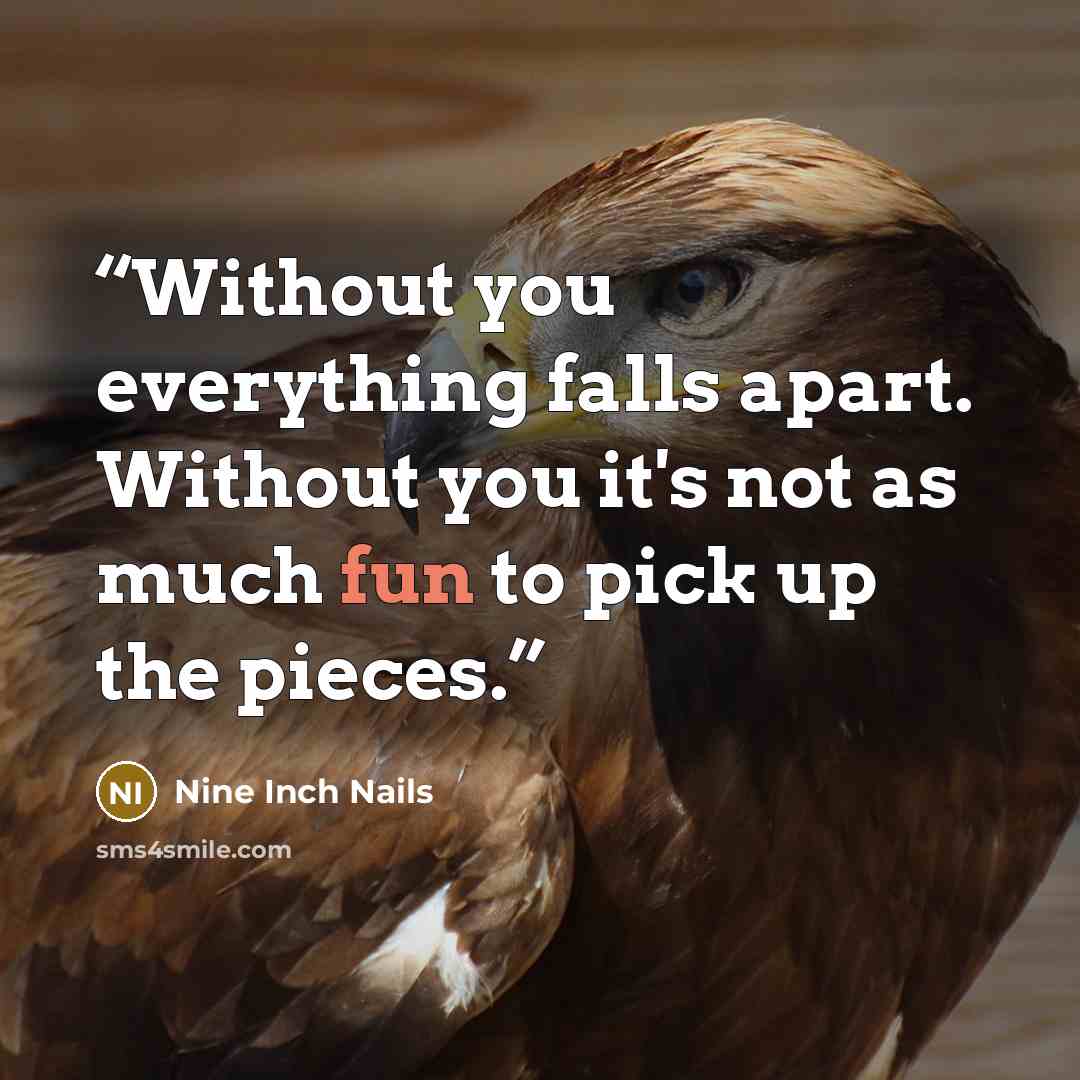 “Without you everything falls apart. Without you it's not as much fun to pick up the pieces.” quote by Nine Inch Nails