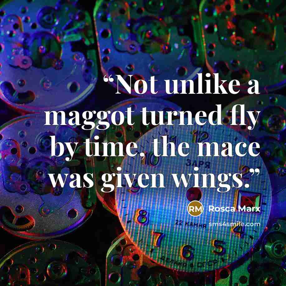 “Not unlike a maggot turned fly by time, the mace was given wings.” quote by Rosca Marx