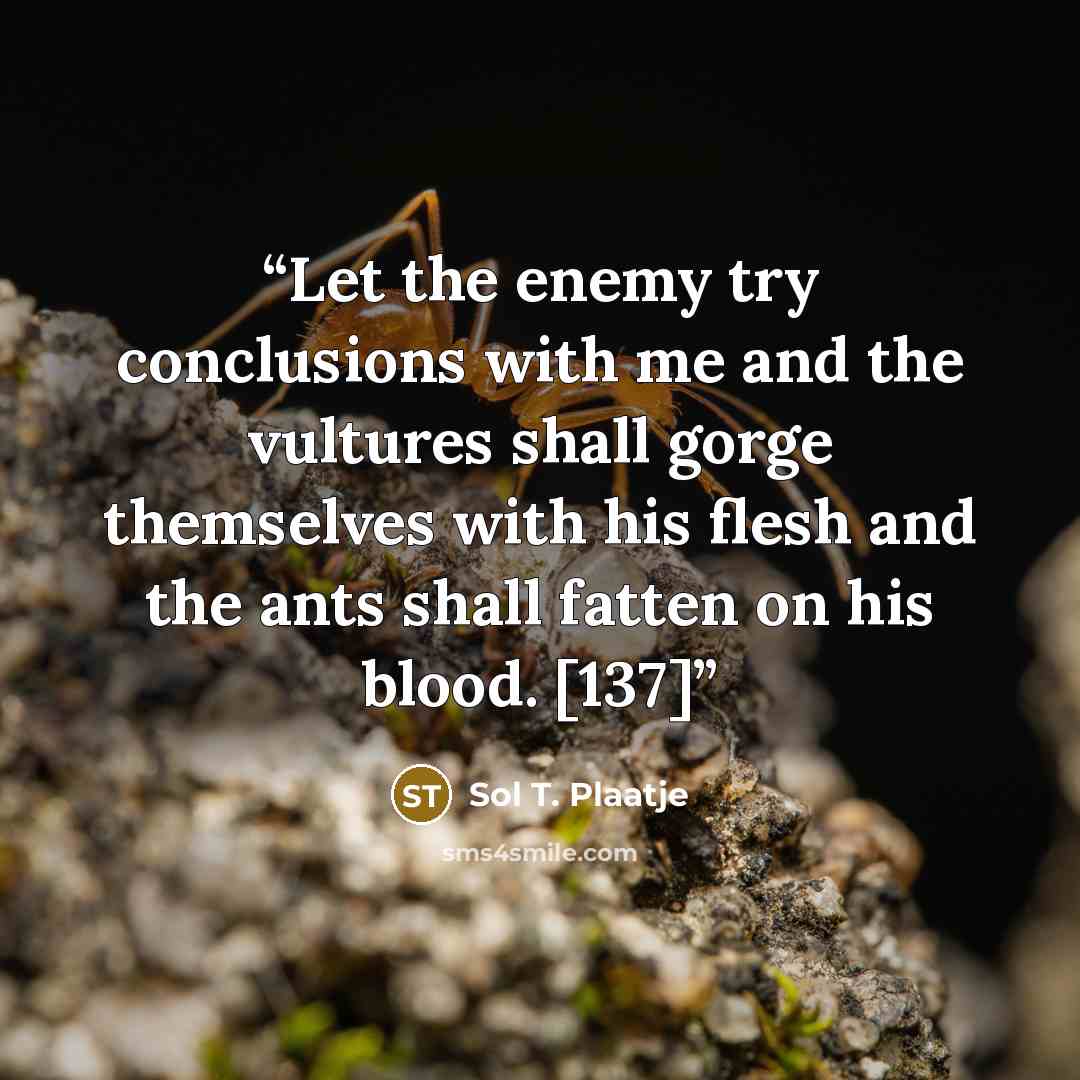 “Let the enemy try conclusions with me and the vultures shall gorge themselves with his flesh and the ants shall fatten on his blood. [137]” quote by Sol T. Plaatje
