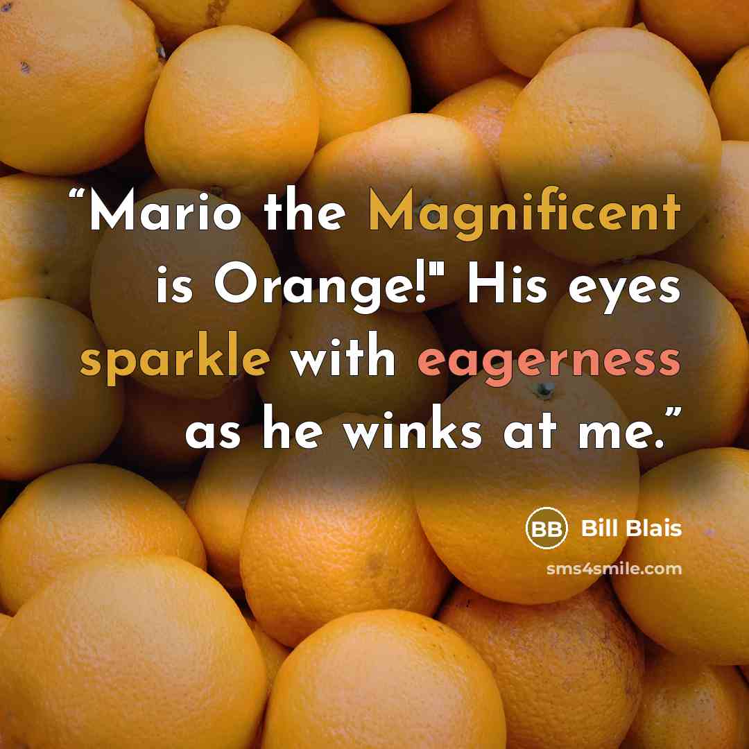“Mario the Magnificent is Orange!" His eyes sparkle with eagerness as he winks at me.” quote by Bill Blais
