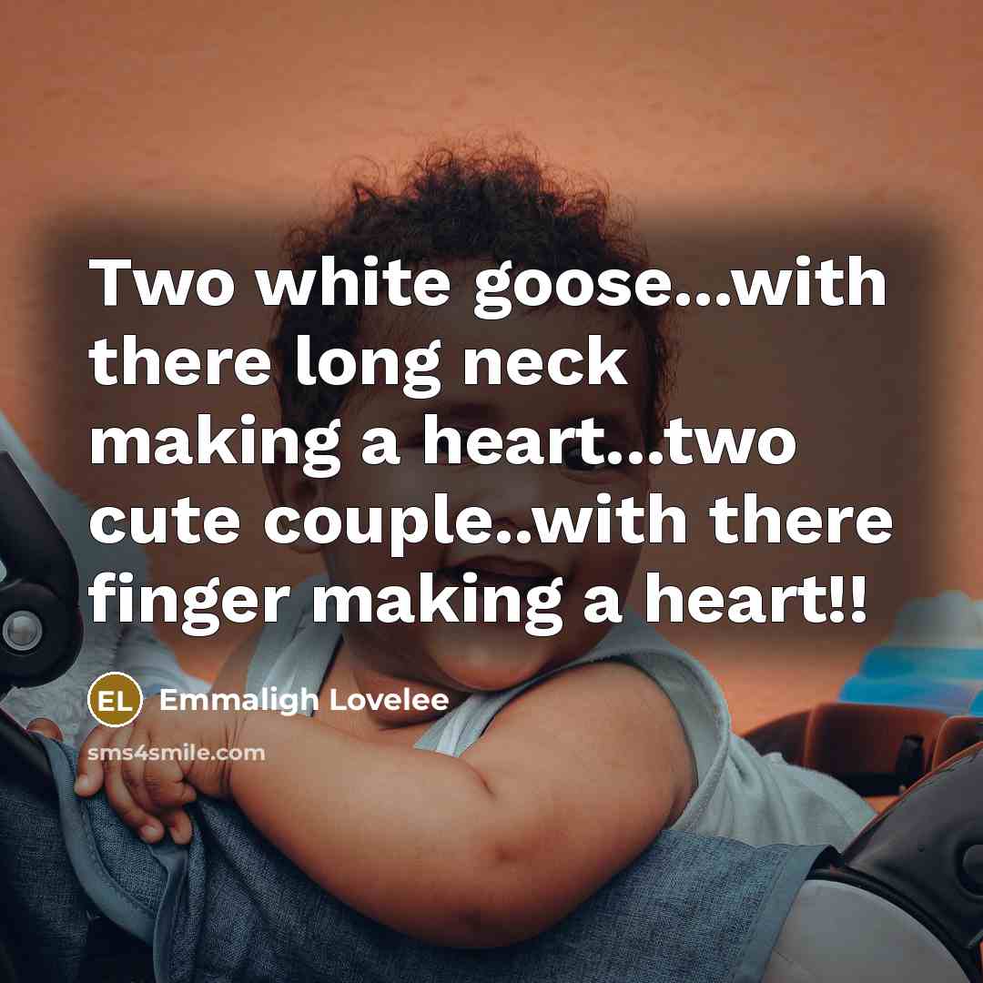 “Two white goose...with there long neck making a heart...two cute couple..with there finger making a heart!!” quote by Emmaligh Lovelee