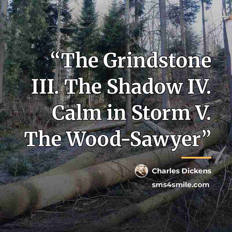 “The Grindstone III. The Shadow IV. Calm in Storm V. The Wood-Sawyer” quote by Charles Dickens