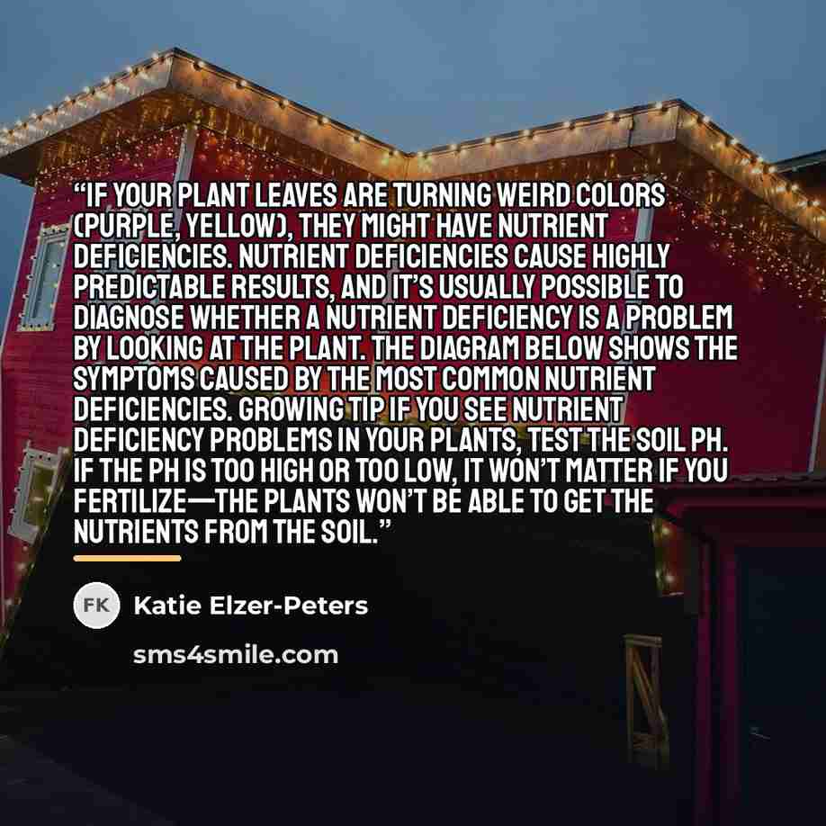 “If your plant leaves are turning weird colors (purple, yellow), they might have nutrient deficiencies. Nutrient deficiencies cause highly predictable results, and it’s usually possible to diagnose whether a nutrient deficiency is a problem by looking at the plant. The diagram below shows the…” quote by Katie Elzer-Peters