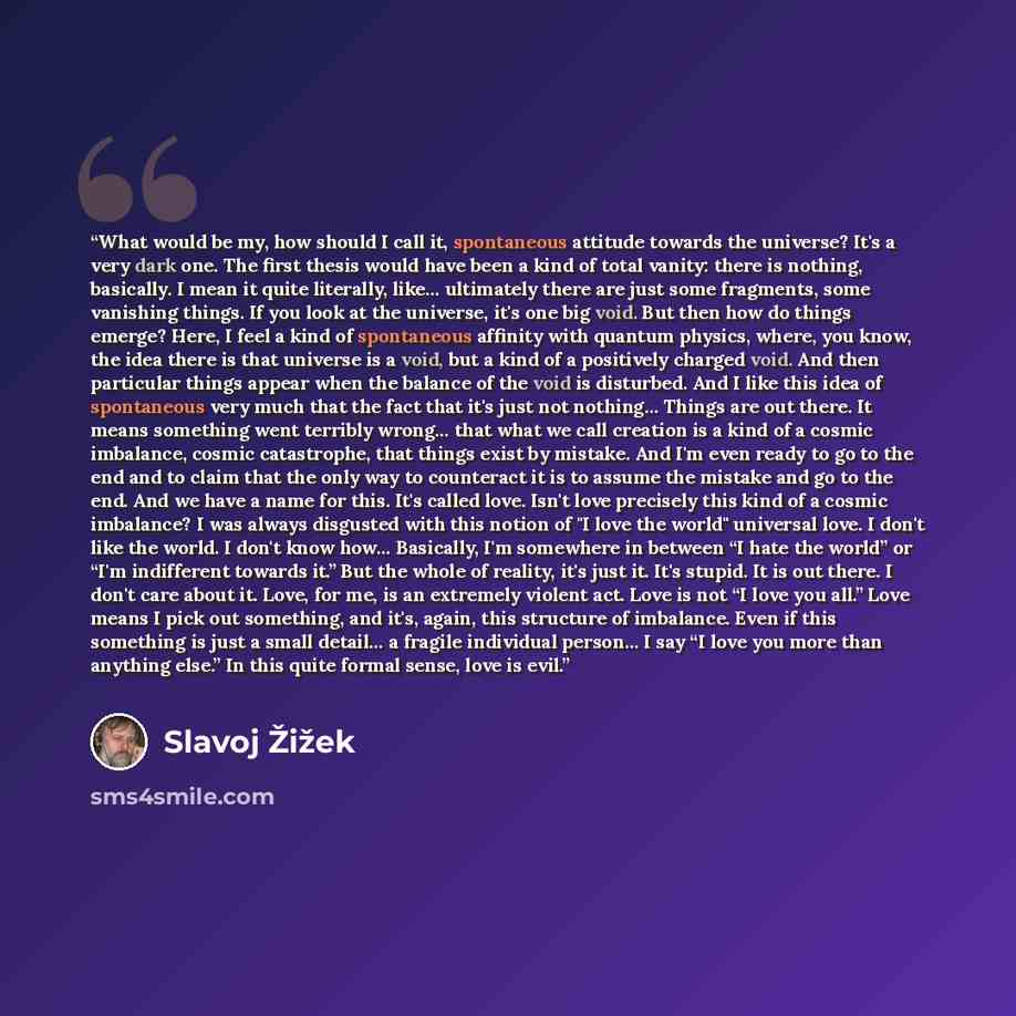 “What would be my, how should I call it, spontaneous attitude towards the universe? It's a very dark one. The first thesis would have been a kind of total vanity: there is nothing, basically. I mean it quite literally, like… ultimately there are just some fragments, some vanishing things. If you…” quote by Slavoj Žižek