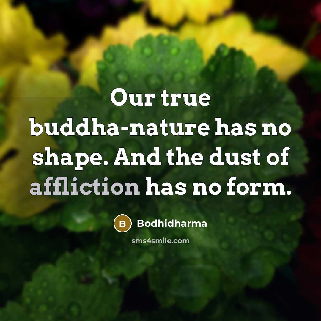 “Our true buddha-nature has no shape. And the dust of affliction has no form.” quote by Bodhidharma