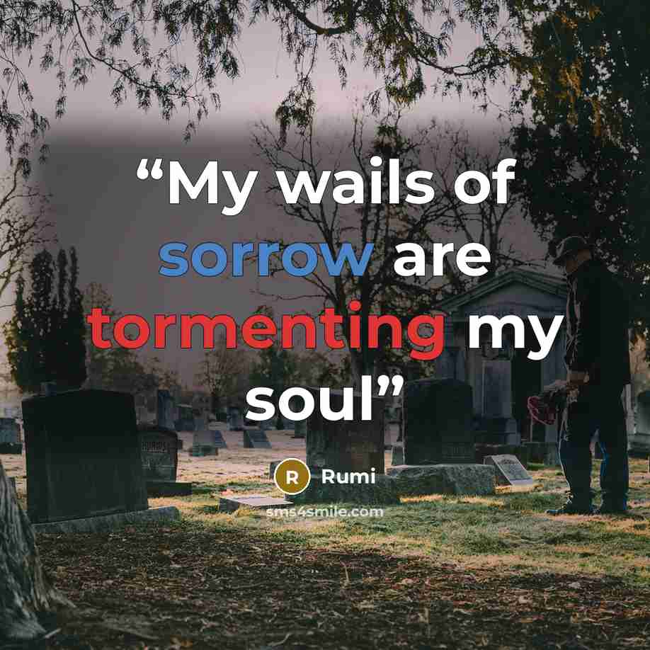 “My wails of sorrow are tormenting my soul” quote by Rumi