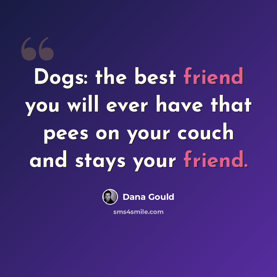 “Dogs: the best friend you will ever have that pees on your couch and stays your friend.” quote by Dana Gould