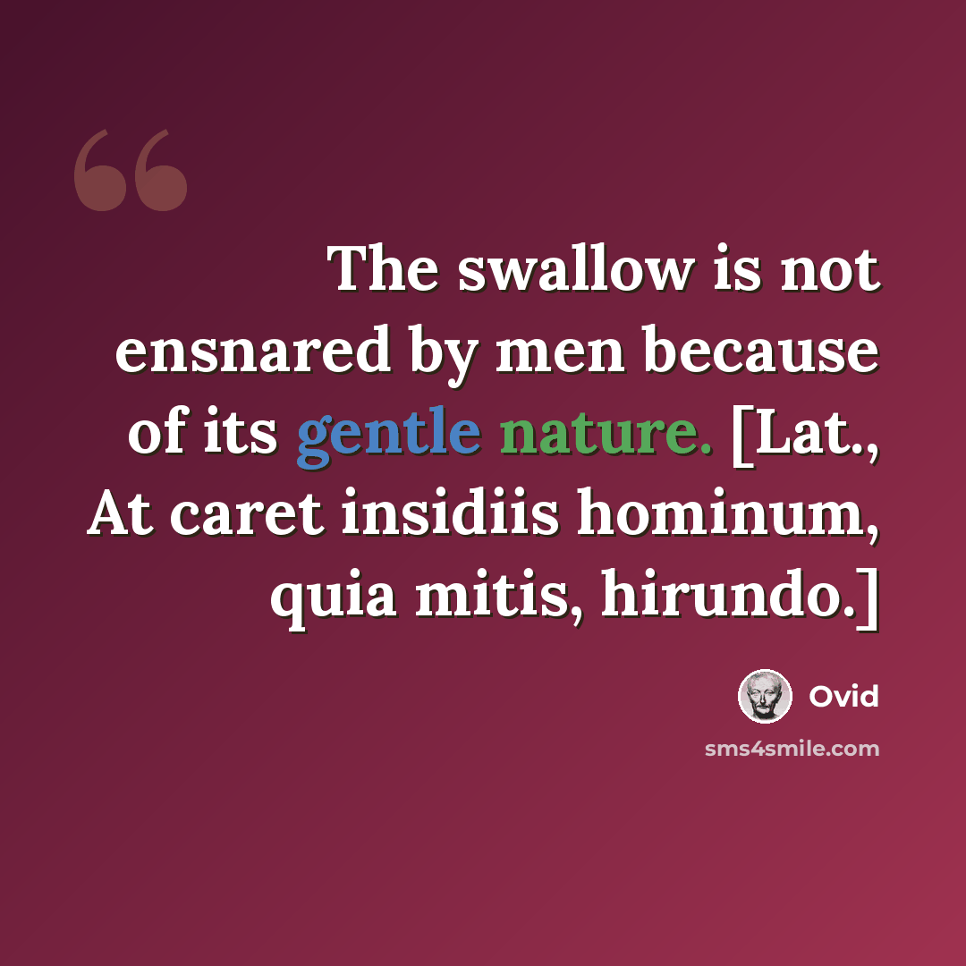 “The swallow is not ensnared by men because of its gentle nature. [Lat., At caret insidiis hominum, quia mitis, hirundo.]” quote by Ovid