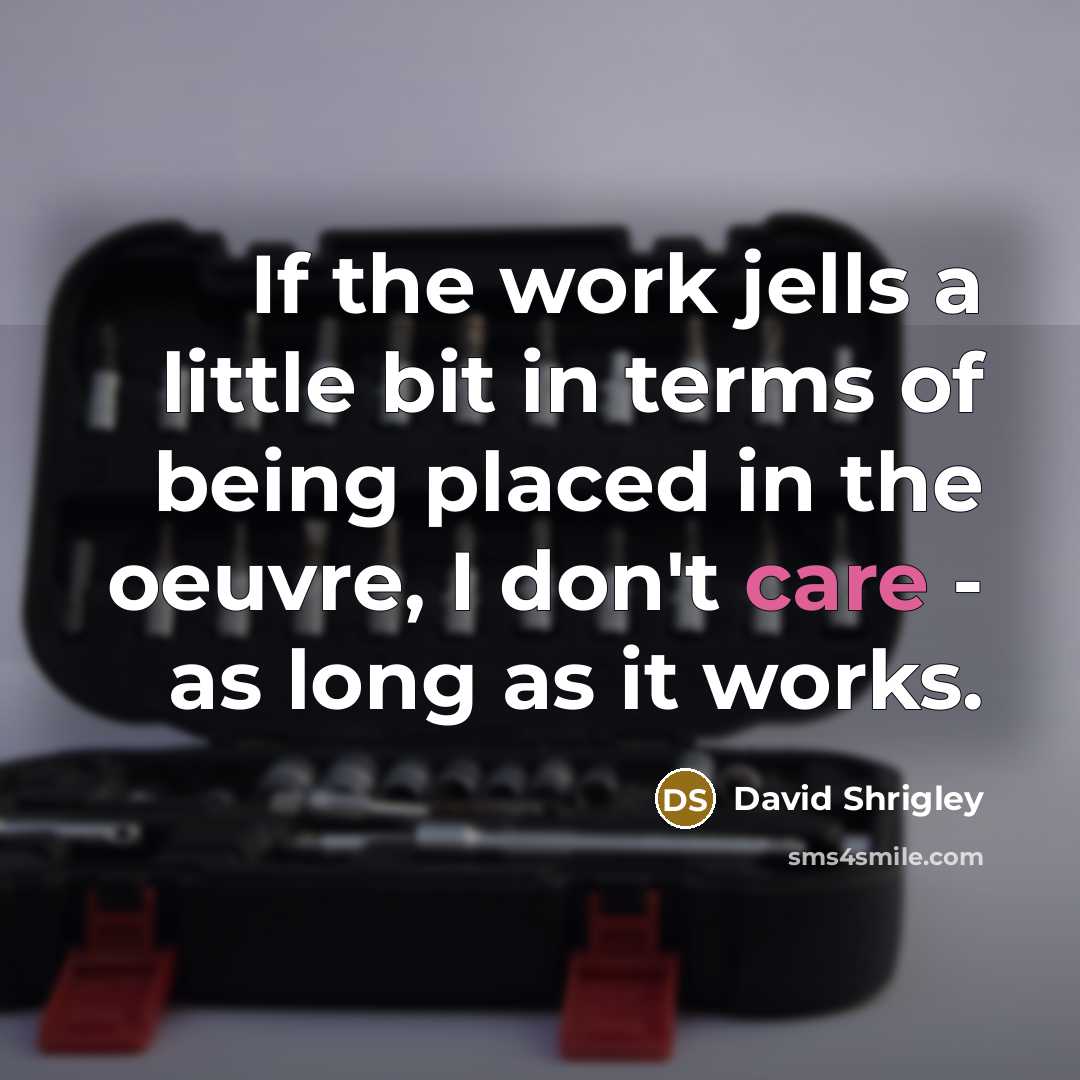 “If the work jells a little bit in terms of being placed in the oeuvre, I don't care - as long as it works.” quote by David Shrigley