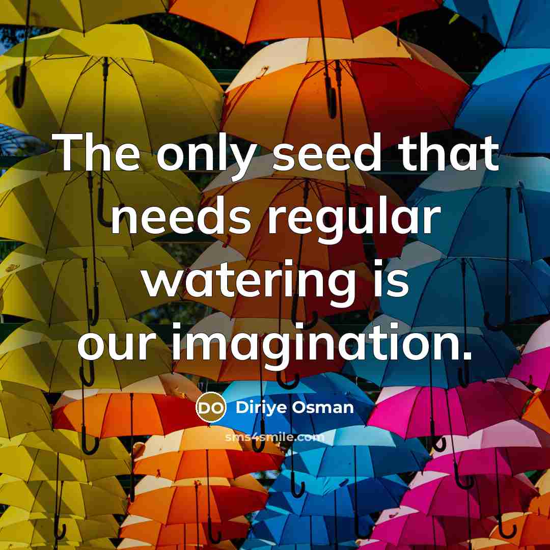 “The only seed that needs regular watering is our imagination.” quote by Diriye Osman