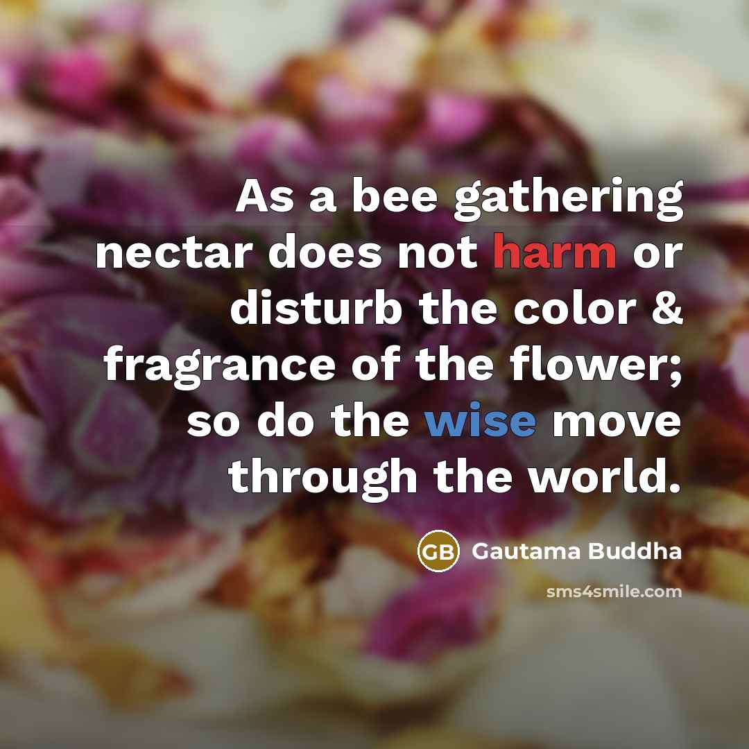 “As a bee gathering nectar does not harm or disturb the color & fragrance of the flower; so do the wise move through the world.” quote by Gautama Buddha