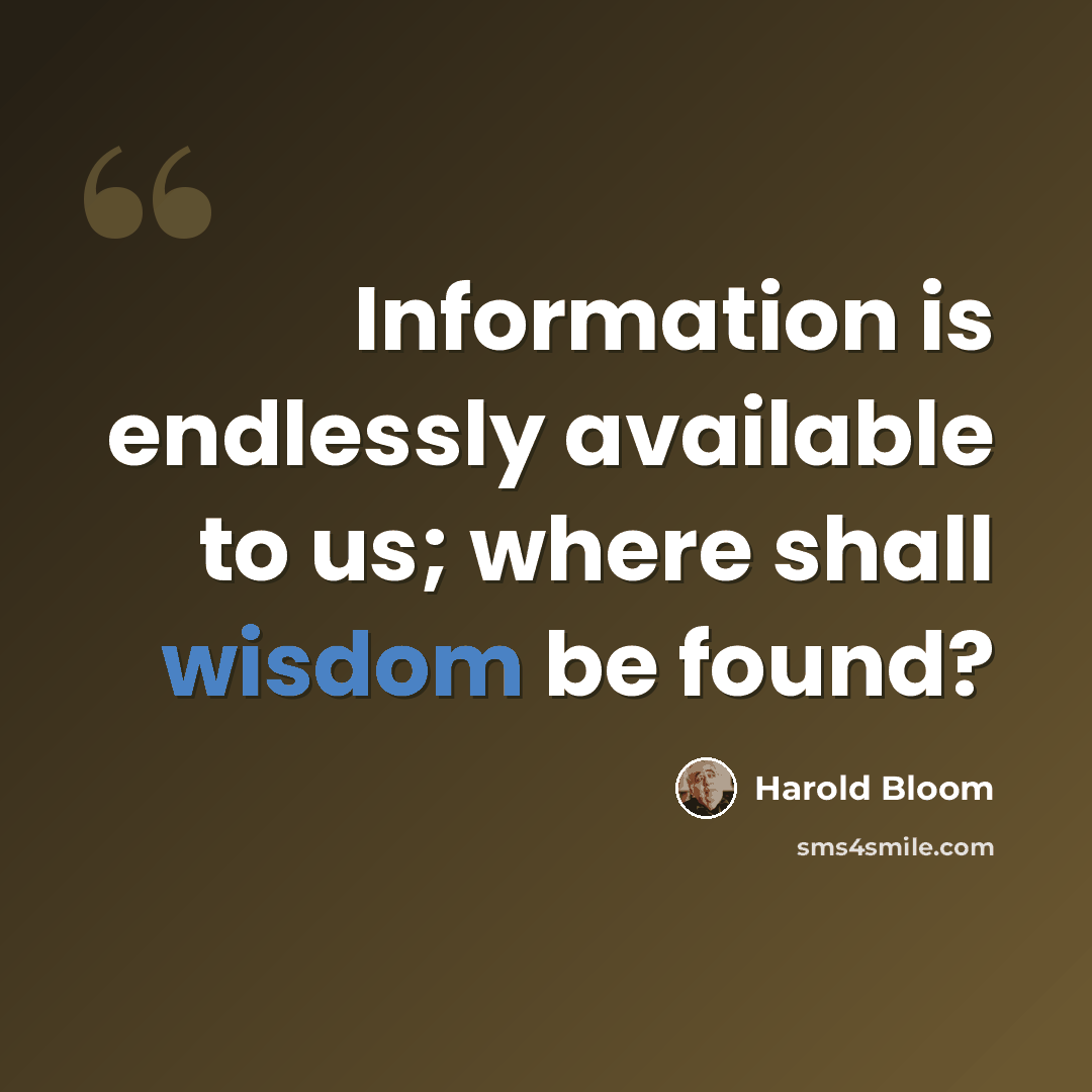 “Information is endlessly available to us; where shall wisdom be found?” quote by Harold Bloom