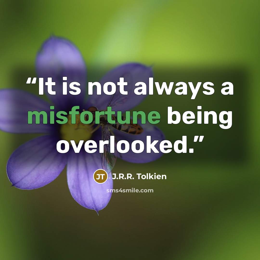 “It is not always a misfortune being overlooked.” quote by J.R.R. Tolkien