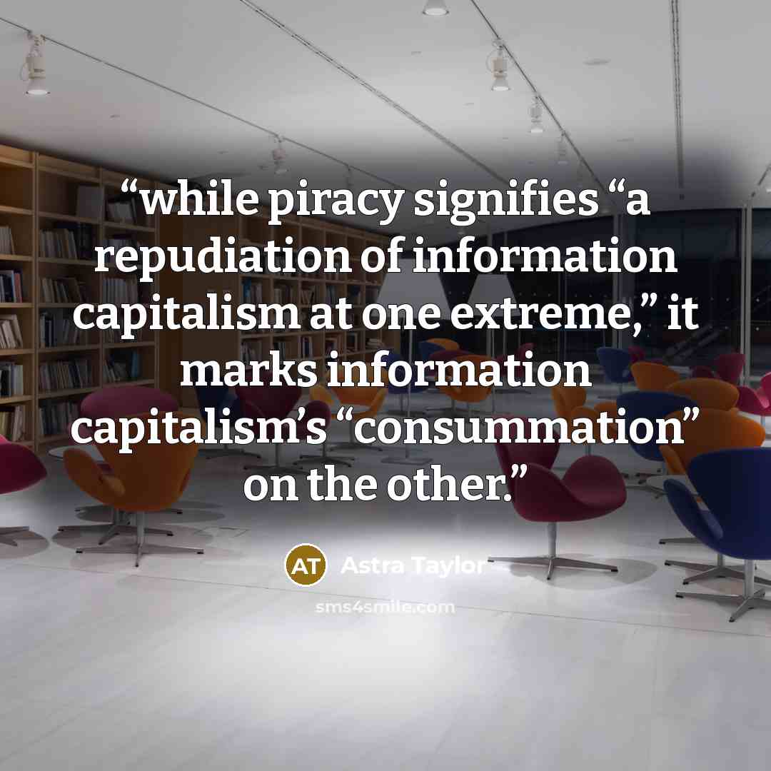 “while piracy signifies “a repudiation of information capitalism at one extreme,” it marks information capitalism’s “consummation” on the other.” quote by Astra Taylor