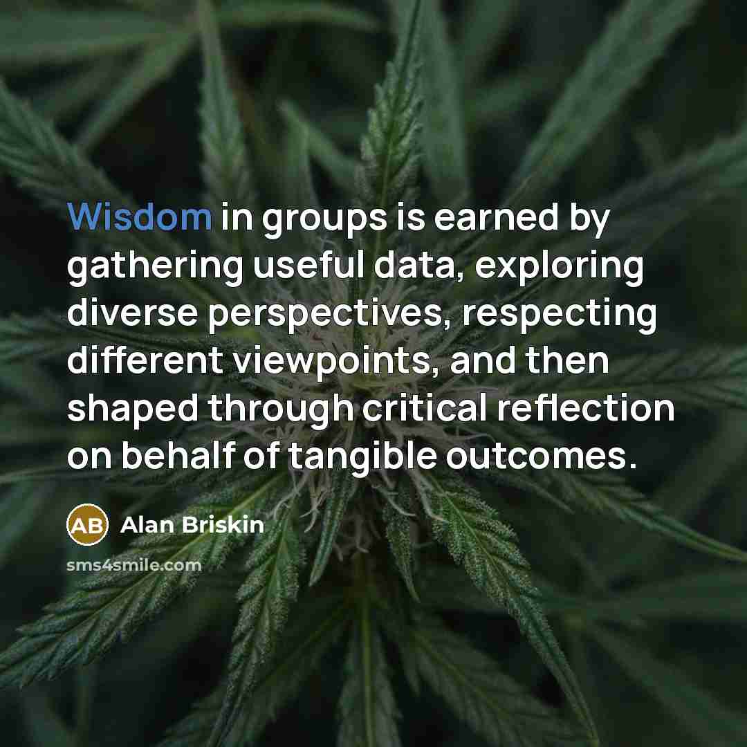 “Wisdom in groups is earned by gathering useful data, exploring diverse perspectives, respecting different viewpoints, and then shaped through critical reflection on behalf of tangible outcomes.” quote by Alan Briskin