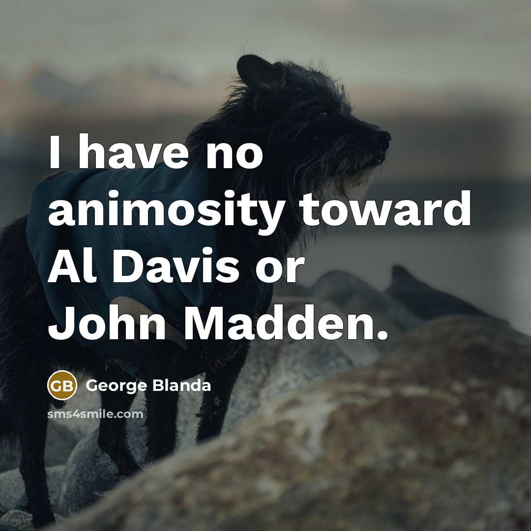 “I have no animosity toward Al Davis or John Madden.” quote by George Blanda