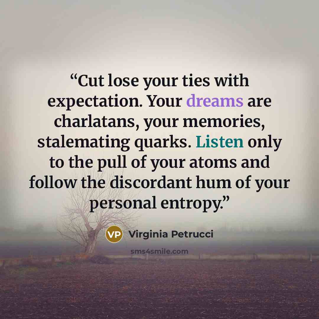 “Cut lose your ties with expectation. Your dreams are charlatans, your memories, stalemating quarks. Listen only to the pull of your atoms and follow the discordant hum of your personal entropy.” quote by Virginia Petrucci