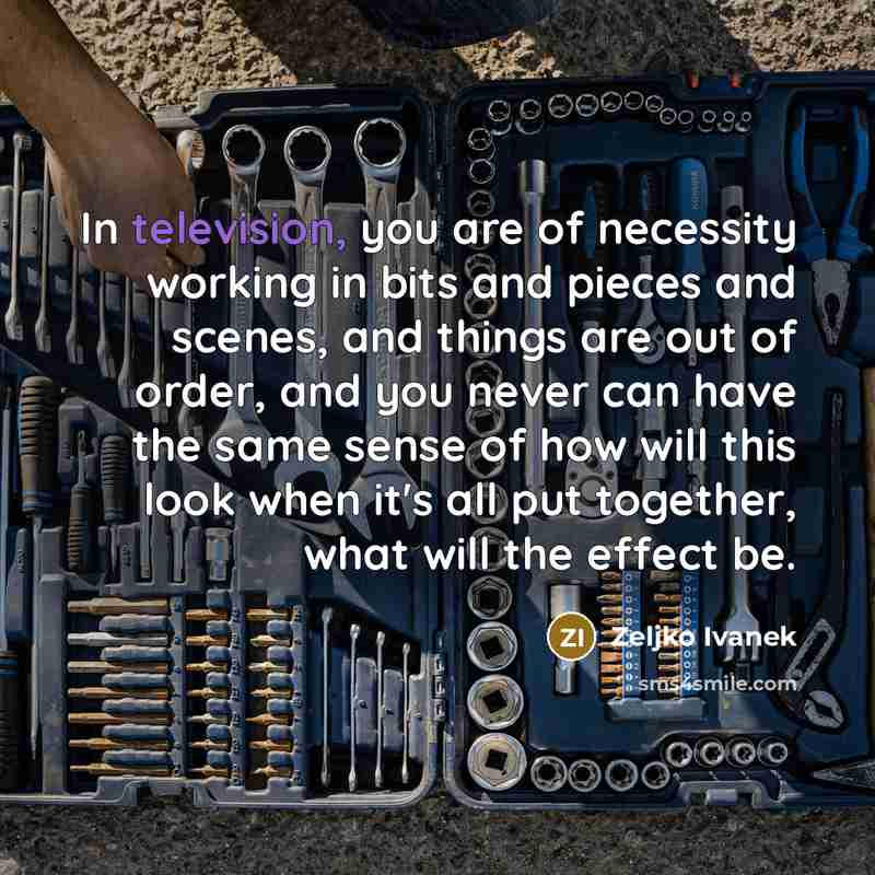 “In television, you are of necessity working in bits and pieces and scenes, and things are out of order, and you never can have the same sense of how will this look when it's all put together, what will the effect be.” quote by Zeljko Ivanek