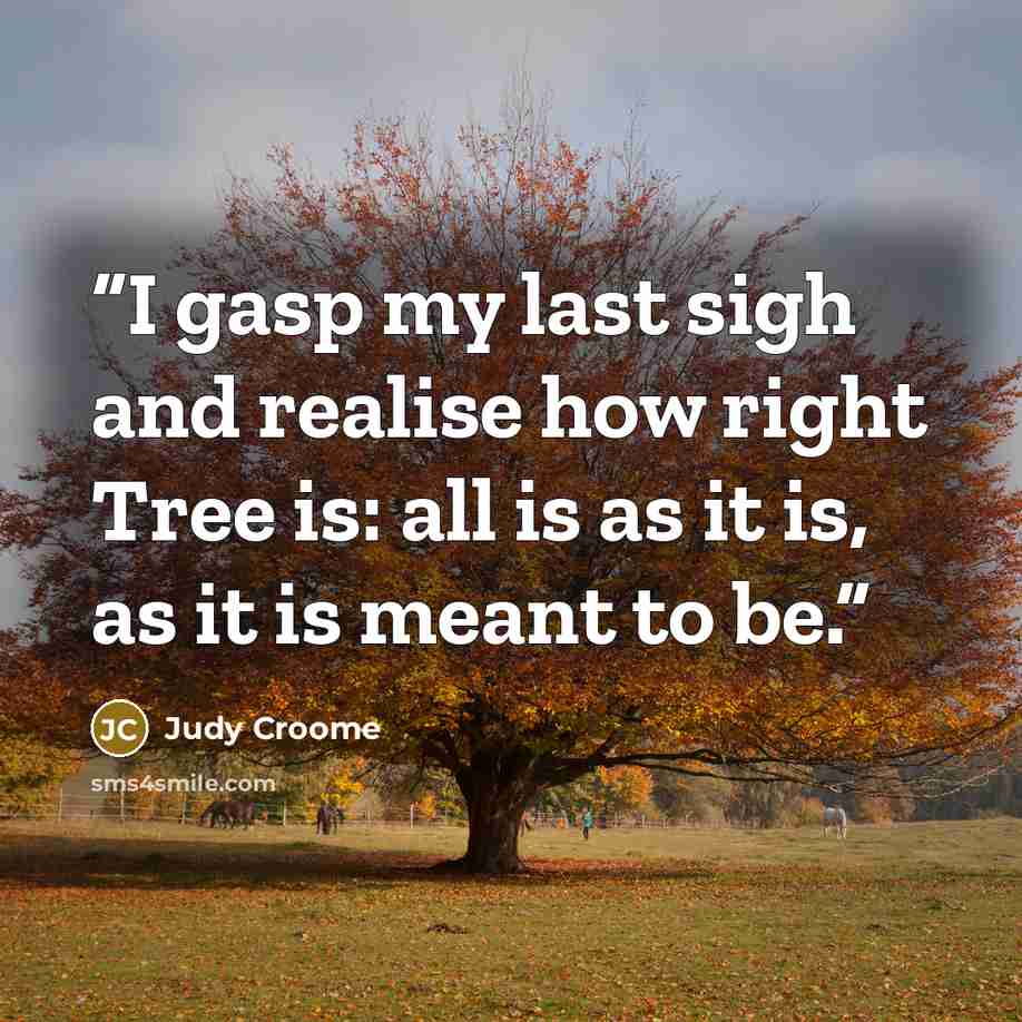“I gasp my last sigh and realise how right Tree is: all is as it is, as it is meant to be.” quote by Judy Croome