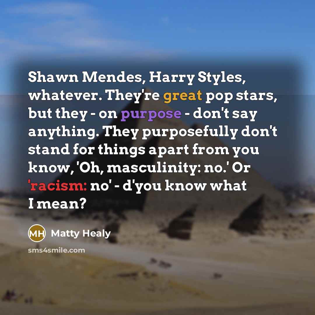 “Shawn Mendes, Harry Styles, whatever. They're great pop stars, but they - on purpose - don't say anything. They purposefully don't stand for things apart from you know, 'Oh, masculinity: no.' Or 'racism: no' - d'you know what I mean?” quote by Matty Healy