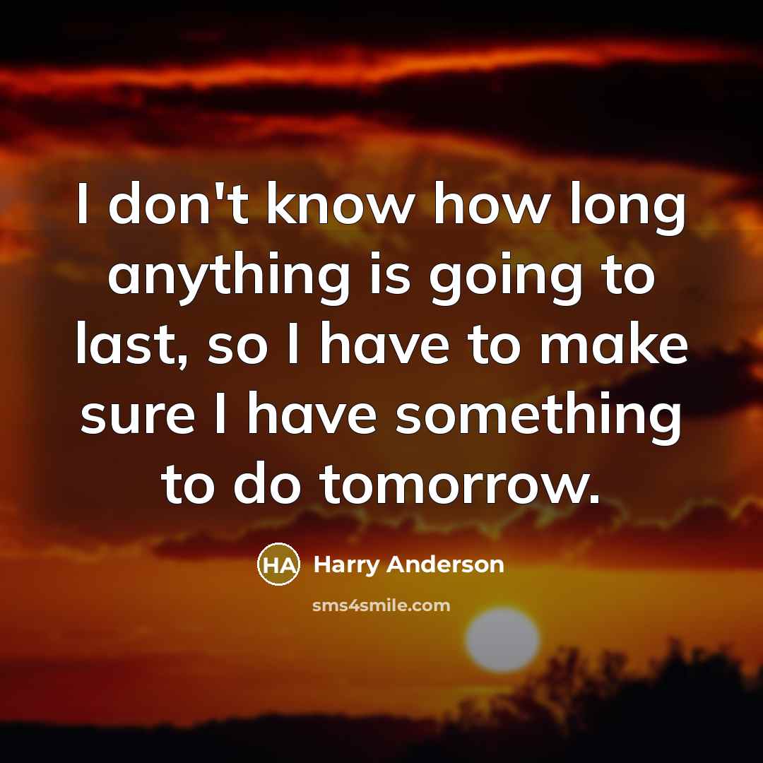 “I don't know how long anything is going to last, so I have to make sure I have something to do tomorrow.” quote by Harry Anderson