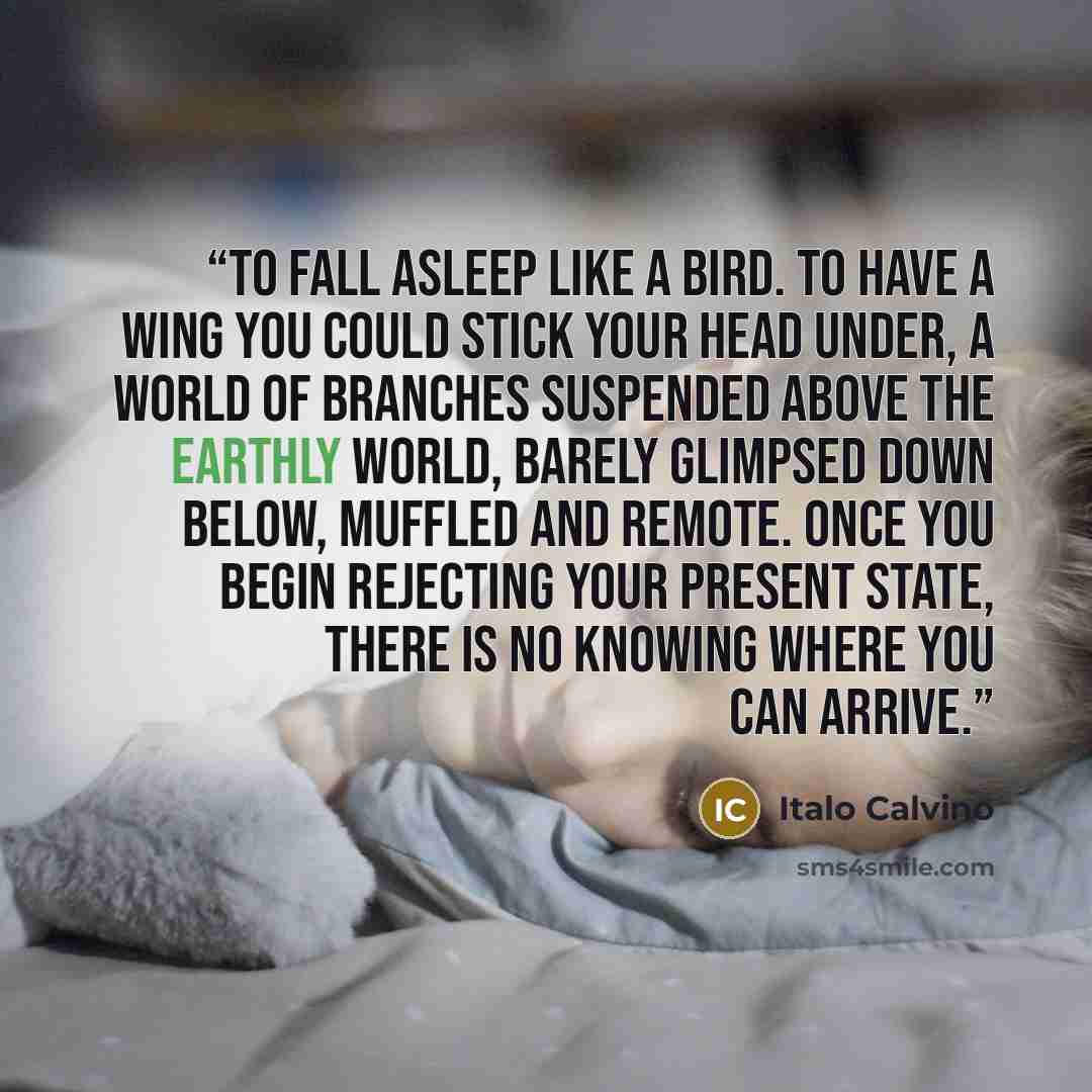 “To fall asleep like a bird. To have a wing you could stick your head under, a world of branches suspended above the earthly world, barely glimpsed down below, muffled and remote. Once you begin rejecting your present state, there is no knowing where you can arrive.” quote by Italo Calvino