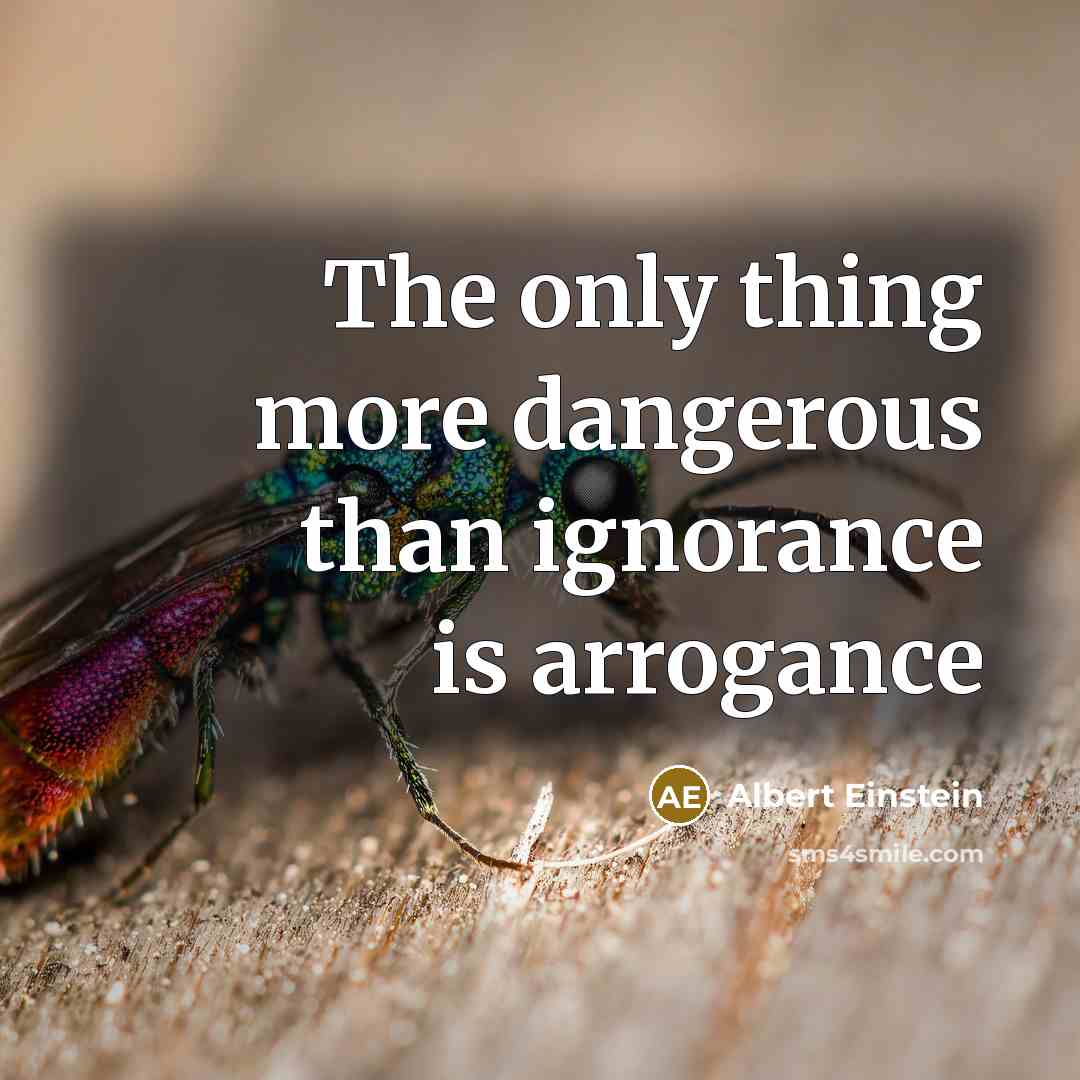 “The only thing more dangerous than ignorance is arrogance” quote by Albert Einstein