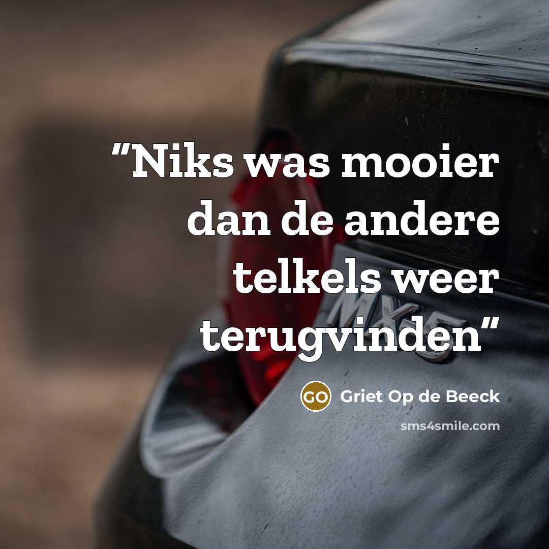 “Niks was mooier dan de andere telkels weer terugvinden” quote by Griet Op de Beeck