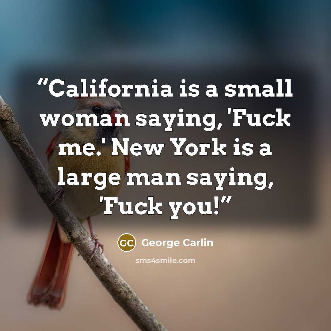 “California is a small woman saying, 'Fuck me.' New York is a large man saying, 'Fuck you!” quote by George Carlin