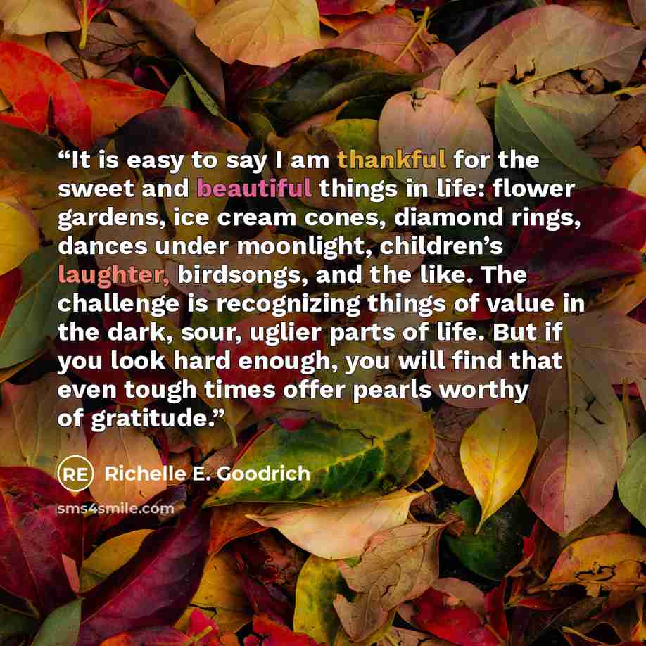 “It is easy to say I am thankful for the sweet and beautiful things in life: flower gardens, ice cream cones, diamond rings, dances under moonlight, children’s laughter, birdsongs, and the like. The challenge is recognizing things of value in the dark, sour, uglier parts of life. But if you look…” quote by Richelle E. Goodrich