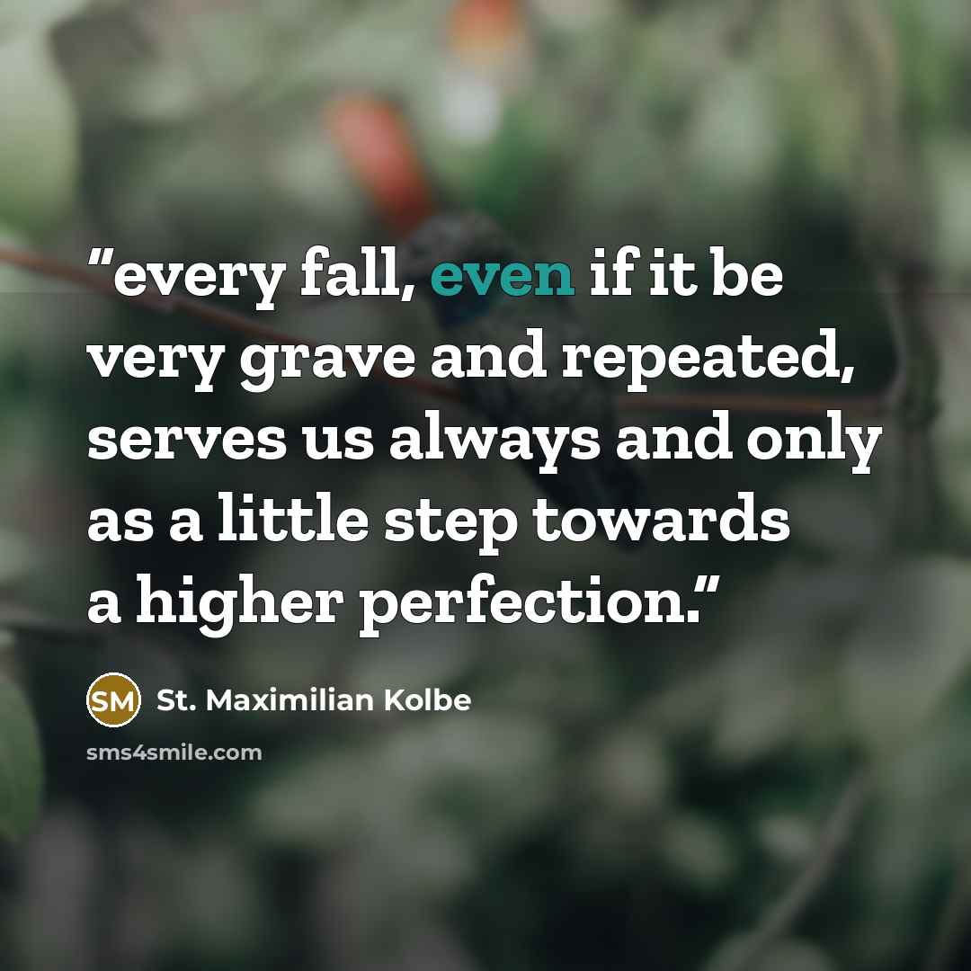 “every fall, even if it be very grave and repeated, serves us always and only as a little step towards a higher perfection.” quote by St. Maximilian Kolbe