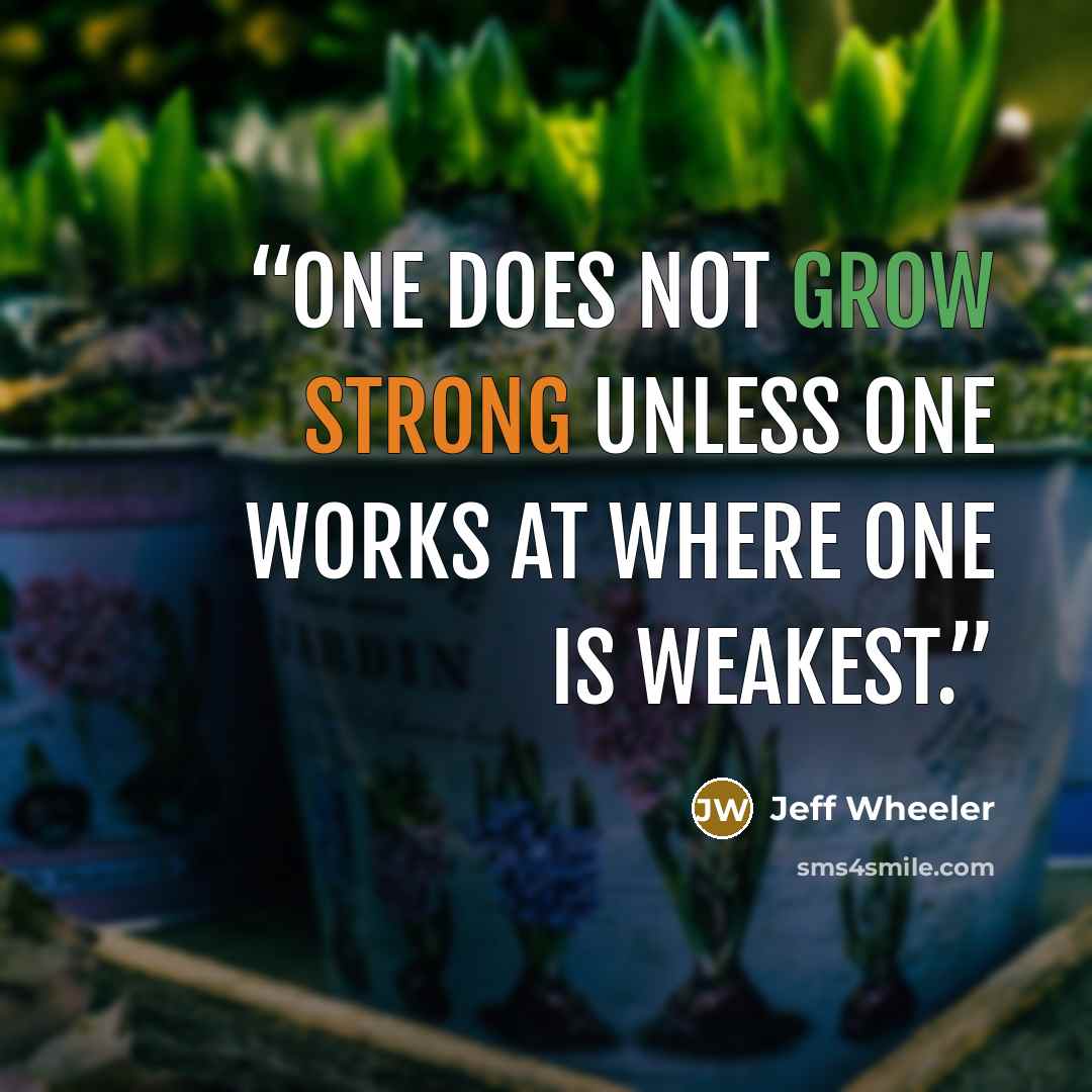 “One does not grow strong unless one works at where one is weakest.” quote by Jeff Wheeler