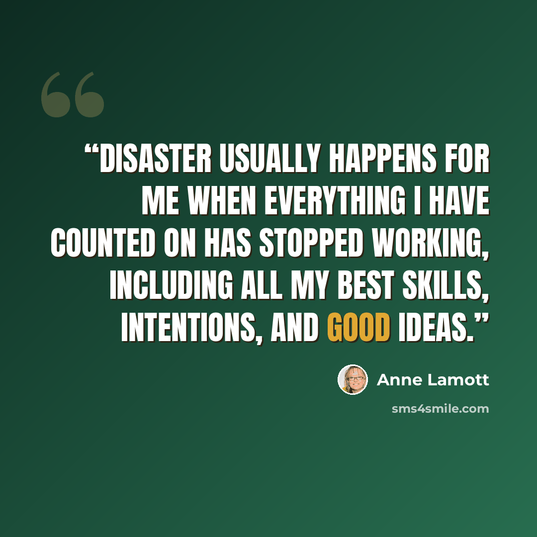 “Disaster usually happens for me when everything I have counted on has stopped working, including all my best skills, intentions, and good ideas.” quote by Anne Lamott