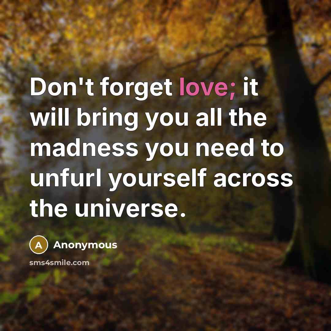 “Don't forget love; it will bring you all the madness you need to unfurl yourself across the universe.” quote by Anonymous