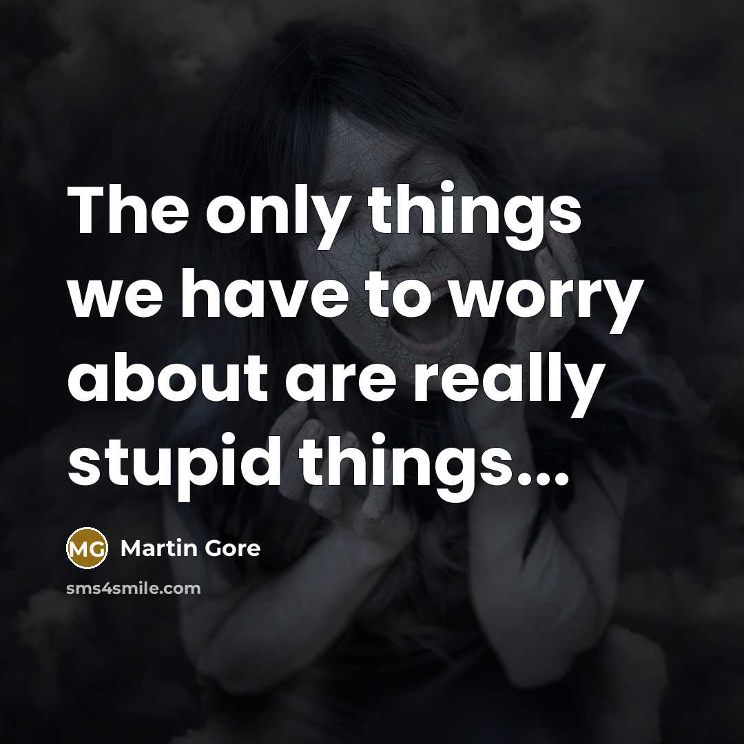 “The only things we have to worry about are really stupid things...” quote by Martin Gore