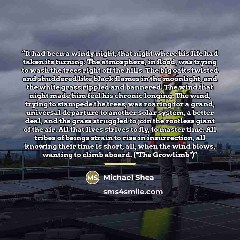 “It had been a windy night, that night where his life had taken its turning. The atmosphere, in flood, was trying to wash the trees right off the hills. The big oaks twisted and shuddered like black flames in the moonlight, and the white grass rippled and bannered. The wind that night made him feel…” quote by Michael Shea
