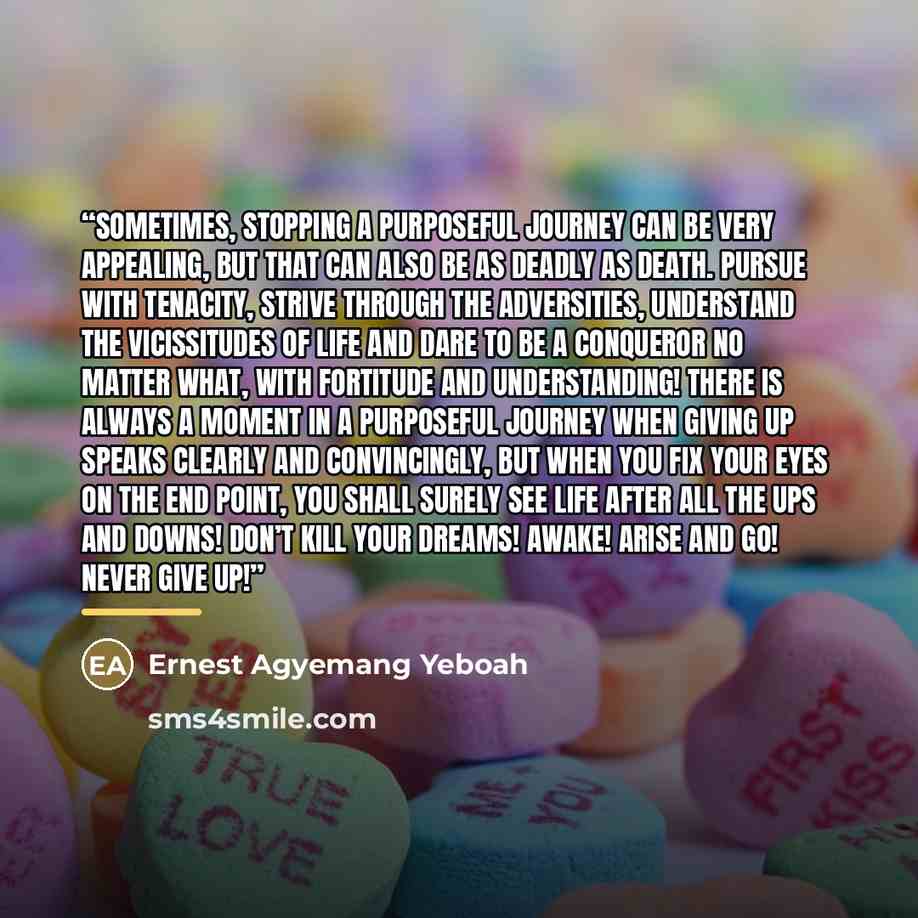 “Sometimes, stopping a purposeful journey can be very appealing, but that can also be as deadly as death. Pursue with tenacity, strive through the adversities, understand the vicissitudes of life and dare to be a conqueror no matter what, with fortitude and understanding! There is always a moment…” quote by Ernest Agyemang Yeboah