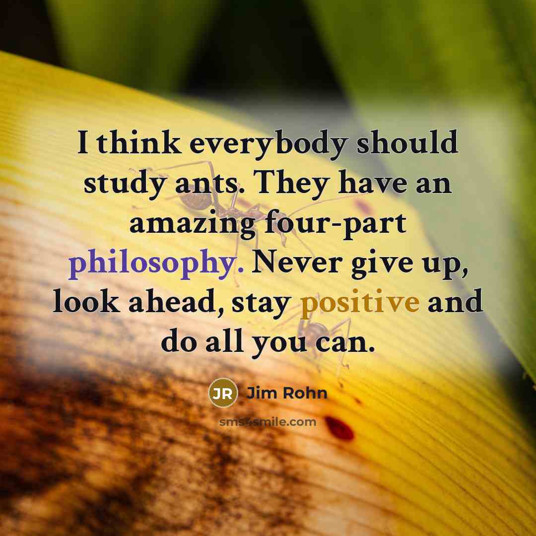 “I think everybody should study ants. They have an amazing four-part philosophy. Never give up, look ahead, stay positive and do all you can.” quote by Jim Rohn