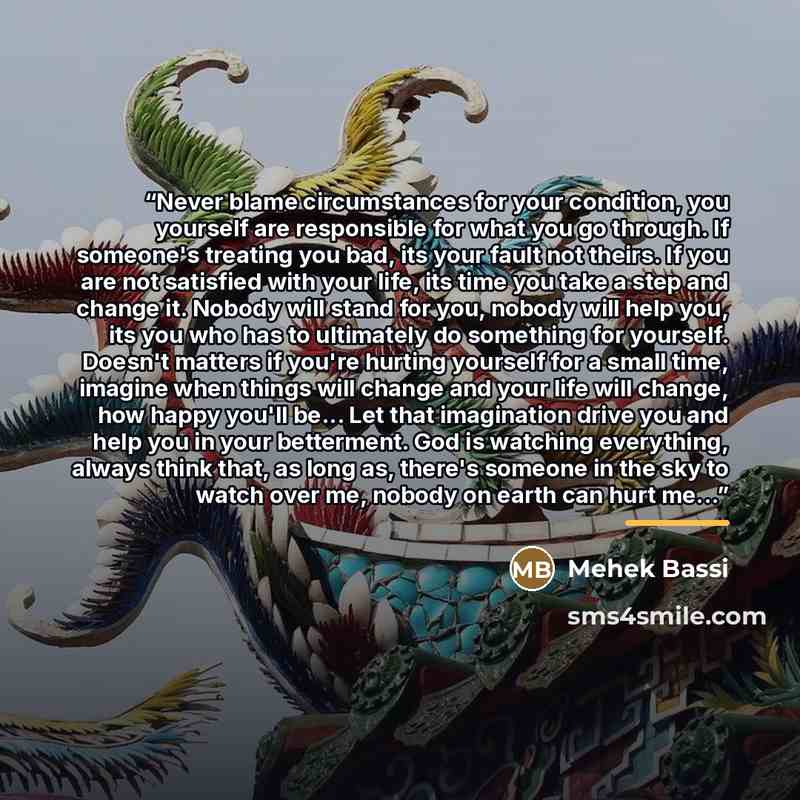 “Never blame circumstances for your condition, you yourself are responsible for what you go through. If someone's treating you bad, its your fault not theirs. If you are not satisfied with your life, its time you take a step and change it. Nobody will stand for you, nobody will help you, its you…” quote by Mehek Bassi